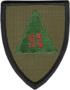 91st Division (Training)